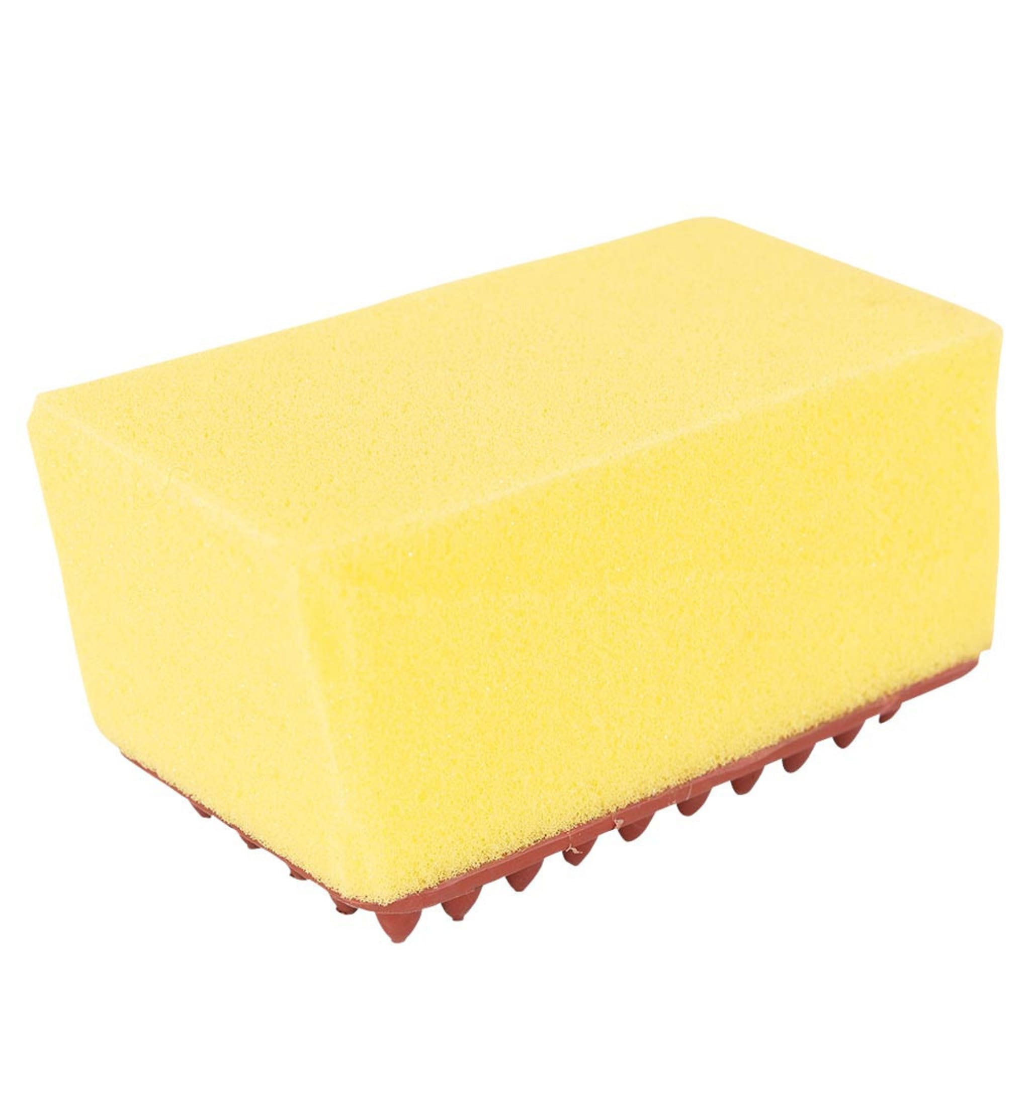 Shower Sponge with Scrubber