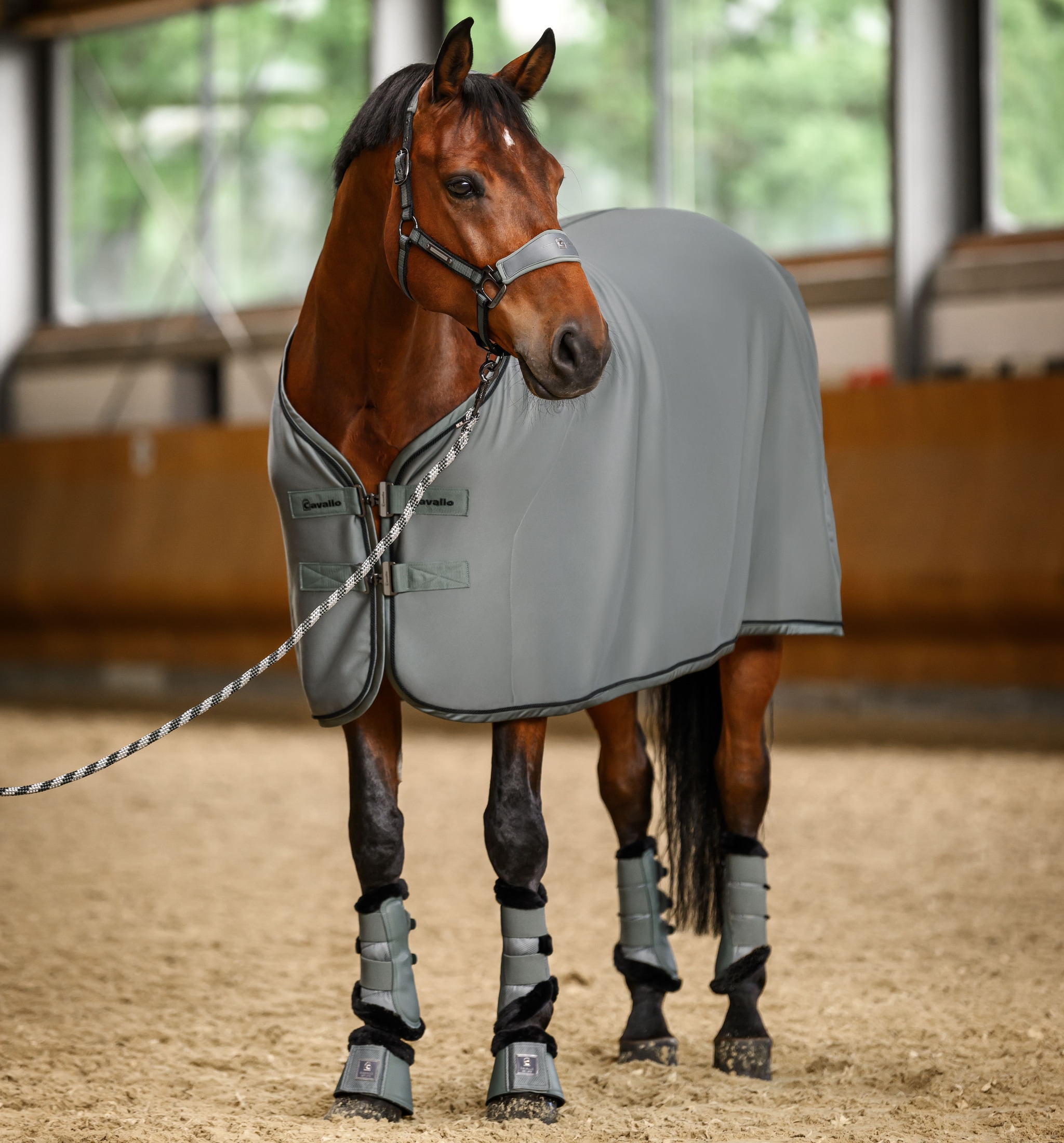 Caval Cooler Rug - Thyme