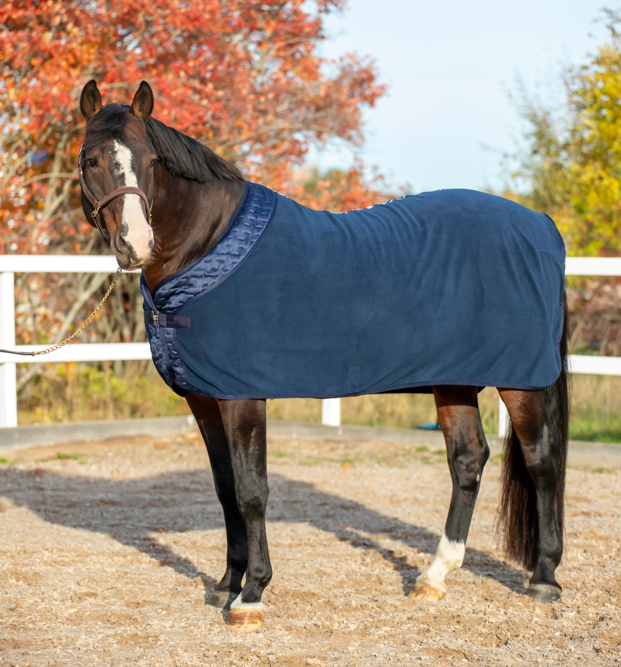 Fleece Rug HOdonar - Navy