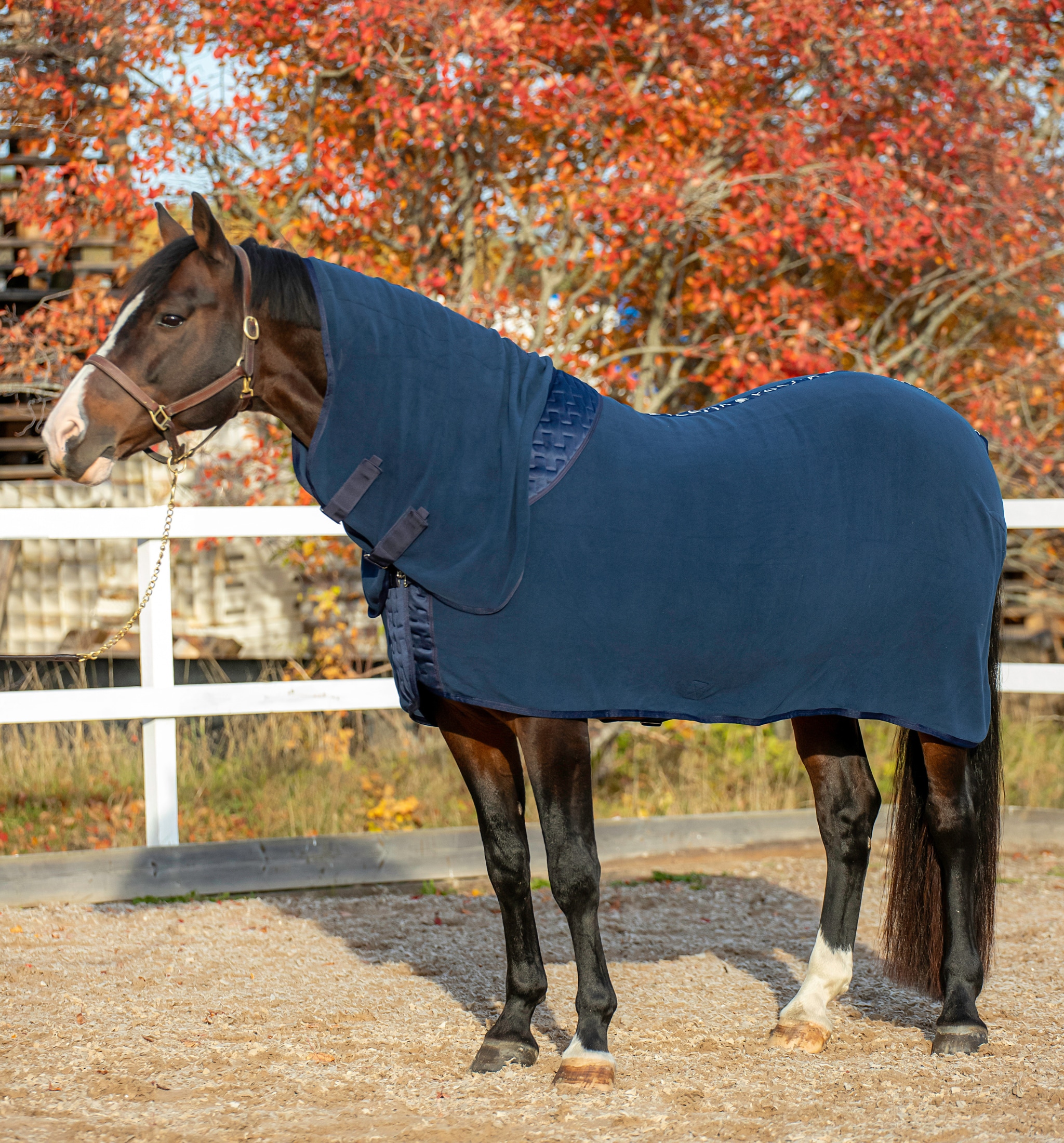 Fleece Rug w hood HOsante - Navy