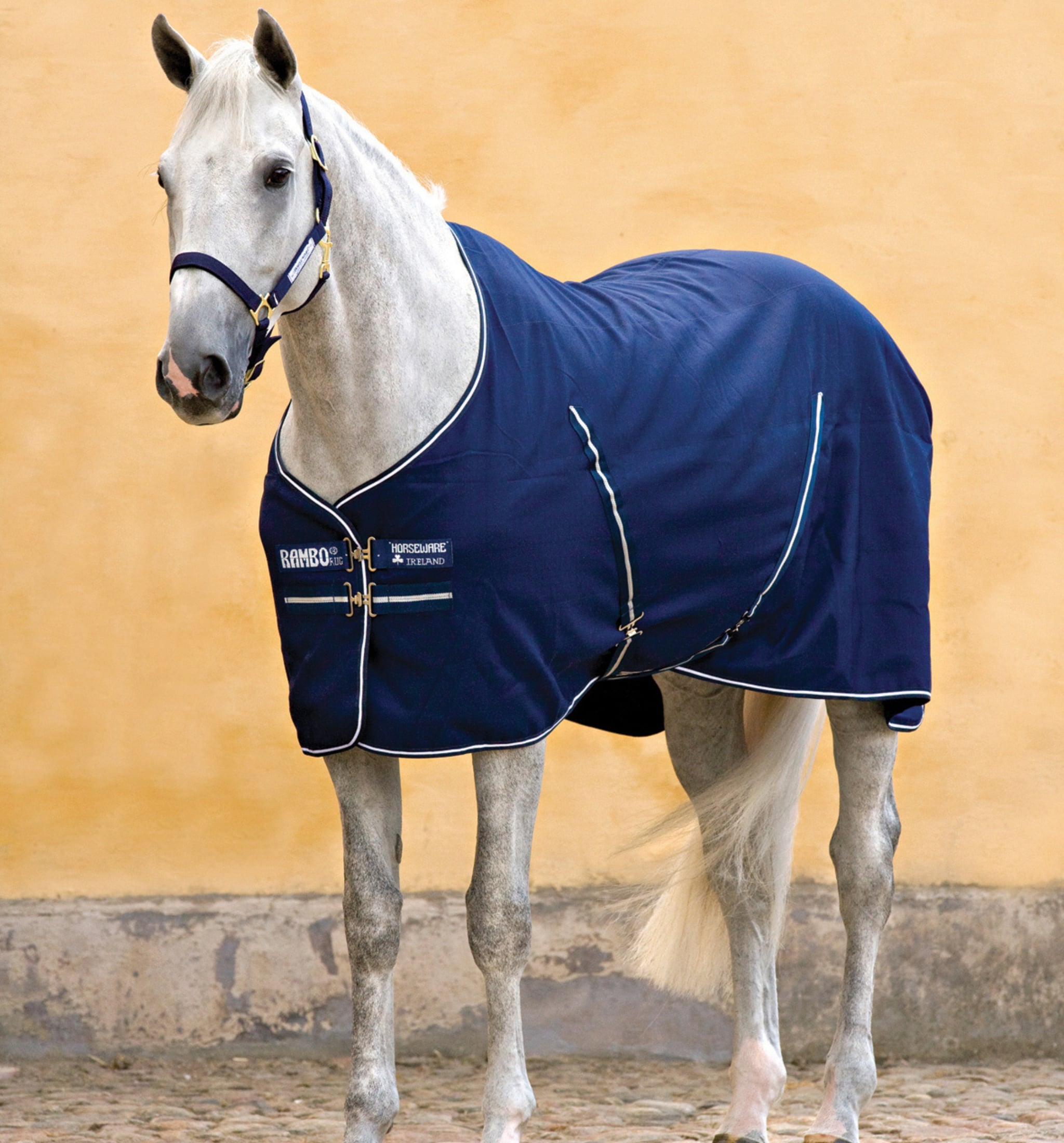 Rambo Stable Sheet - Navy