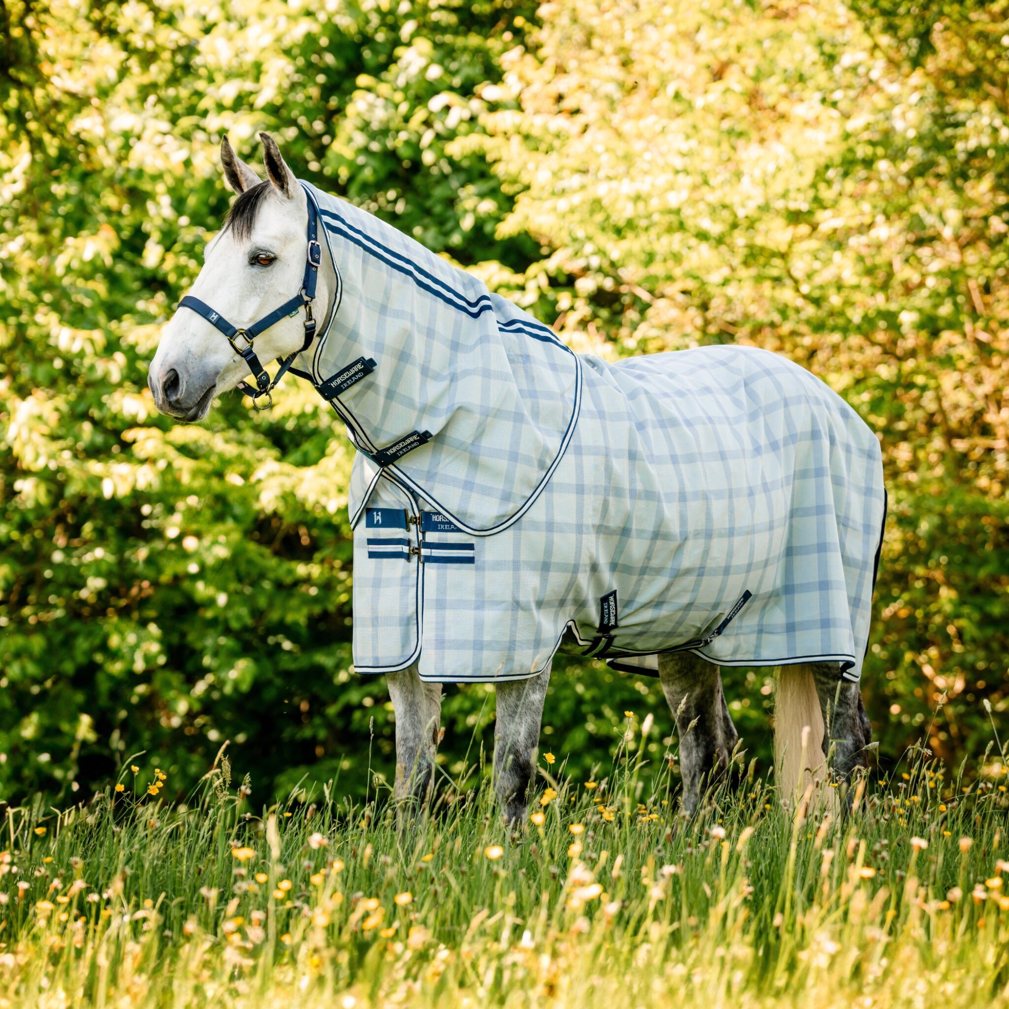 Newmarket Plus Fly Sheet - Witney Navy