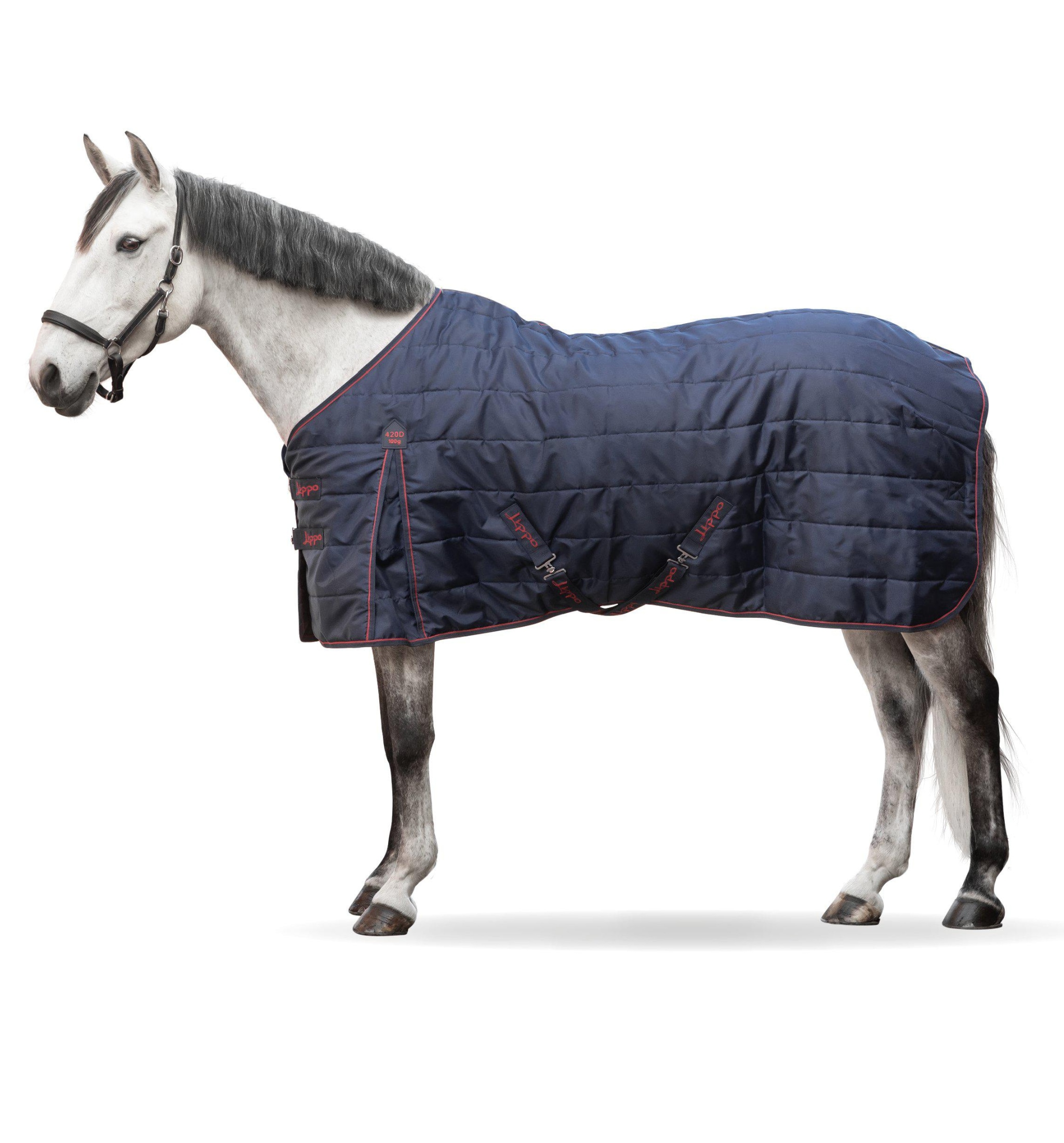 Basic Stable Rug 100 gr - Navy