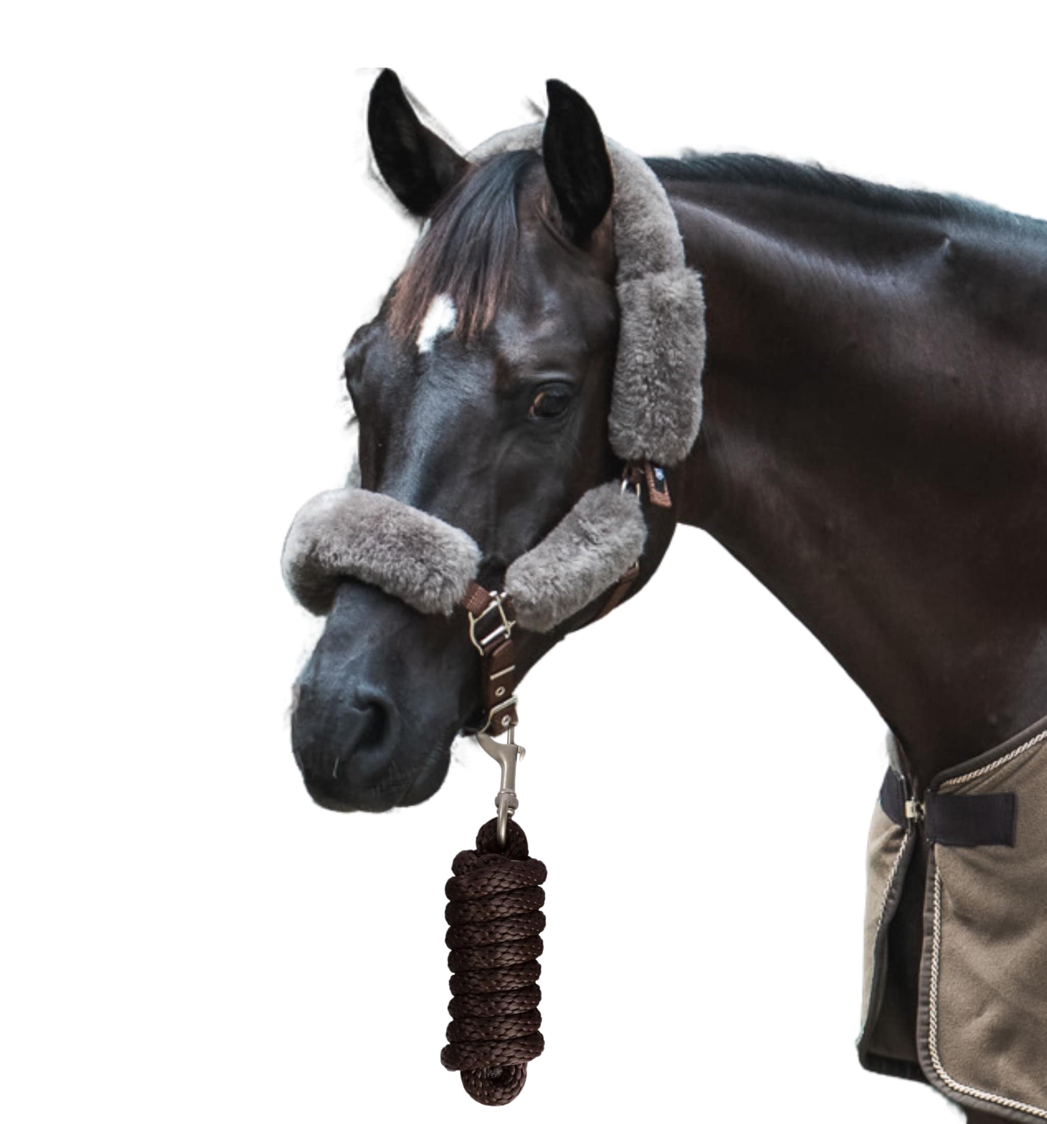 Sheepskin halter & Rope - Brown/Taupe