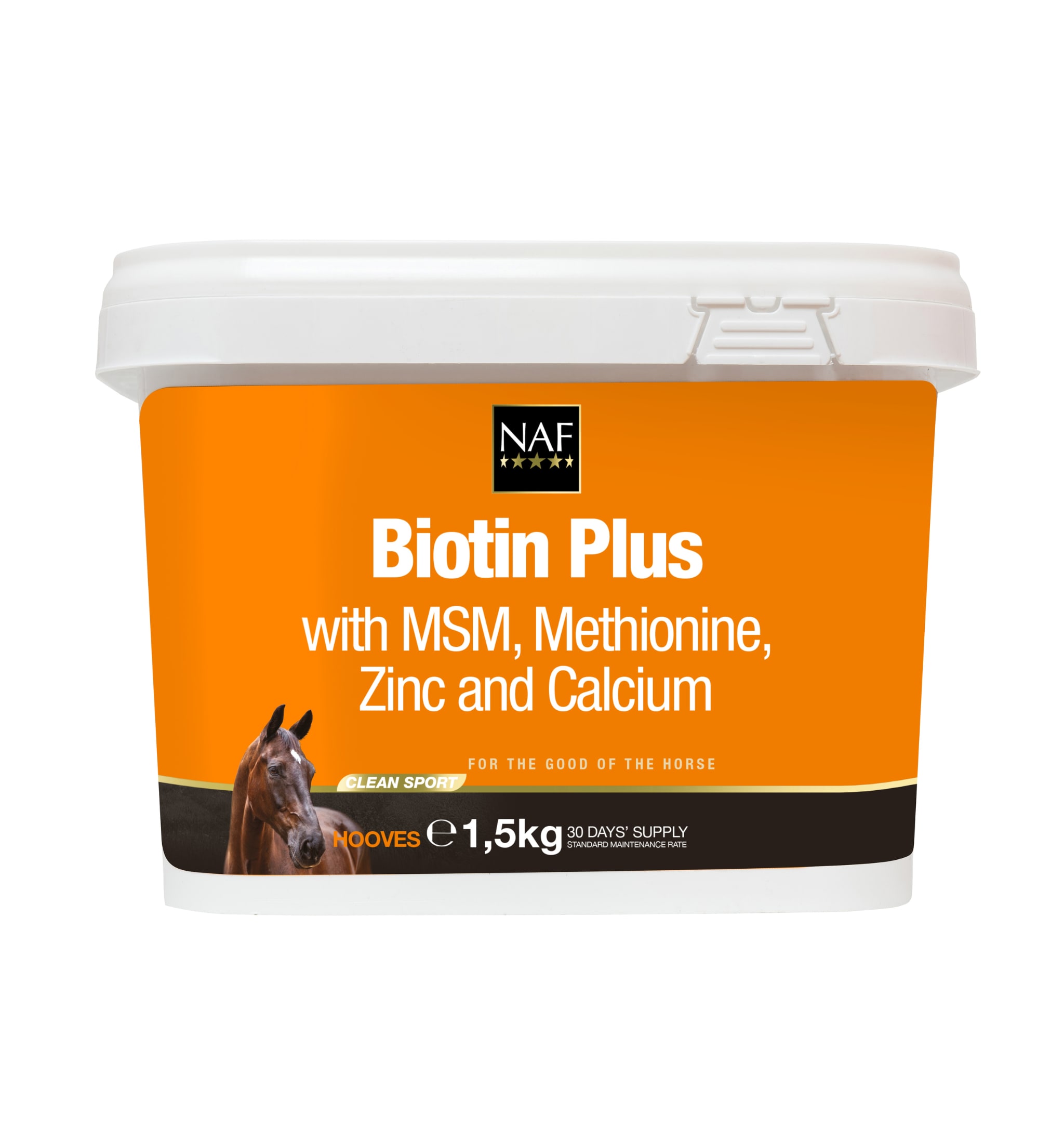 Biotin Plus